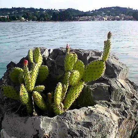 Apartamento Empress Corfu